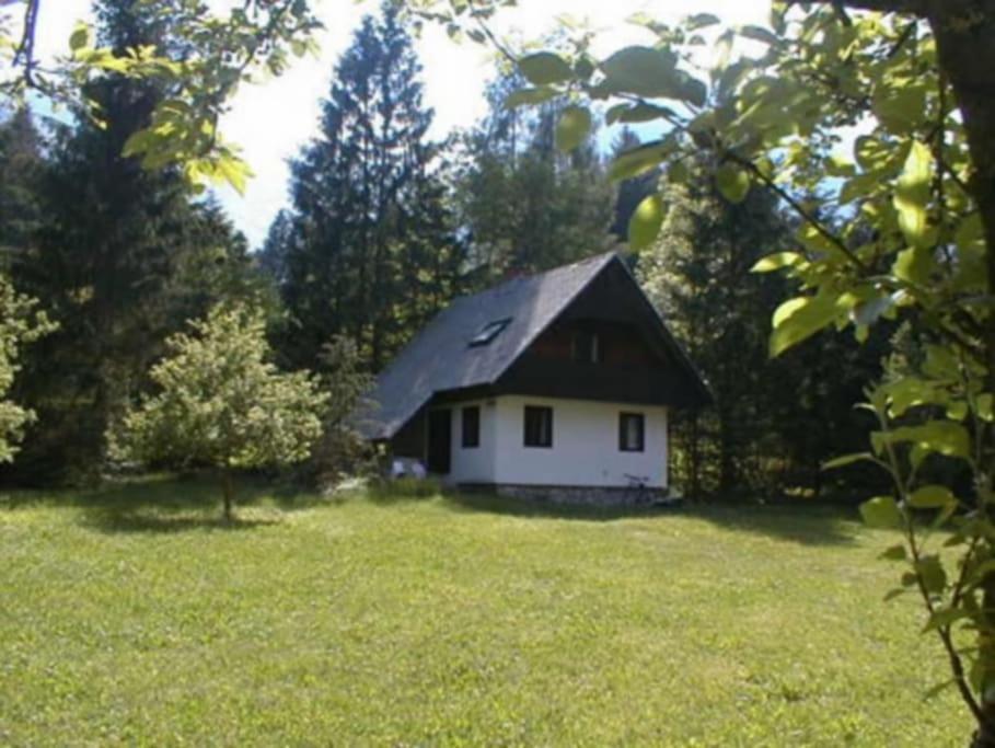 Apartment Lake Bohinj No. 5 Dış mekan fotoğraf