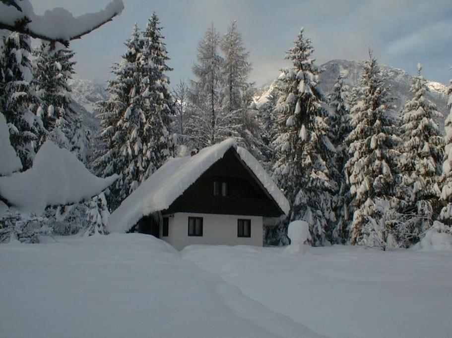 Apartment Lake Bohinj No. 5 Dış mekan fotoğraf