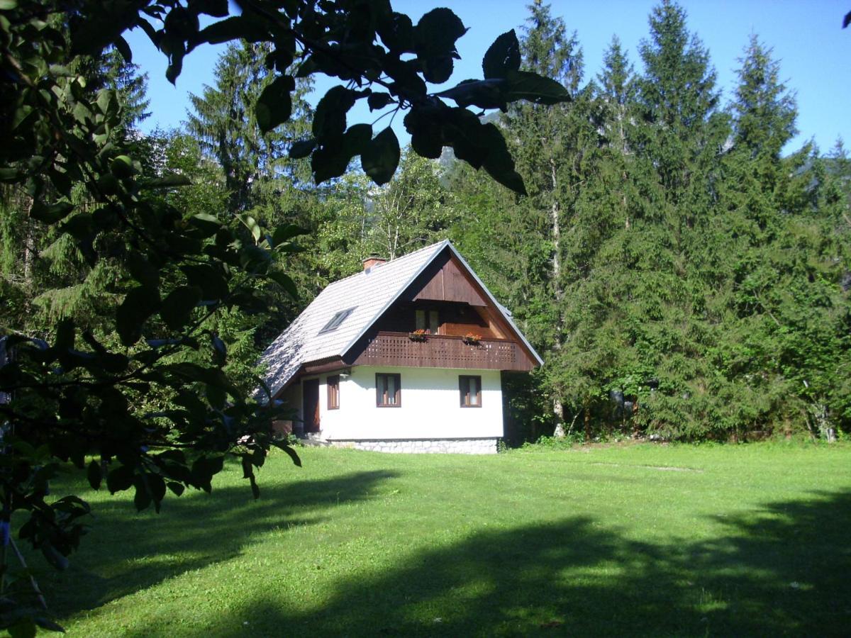 Apartment Lake Bohinj No. 5 Dış mekan fotoğraf