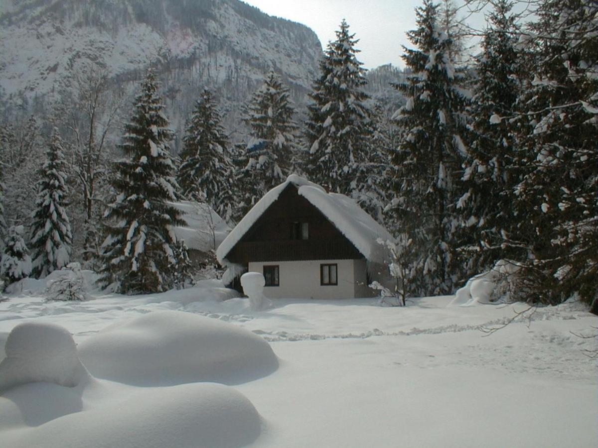 Apartment Lake Bohinj No. 5 Dış mekan fotoğraf